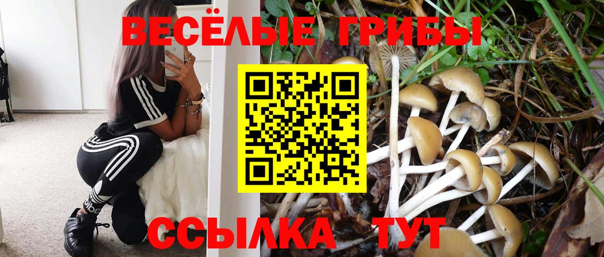 Псилоцибиновые грибы MAGIC MUSHROOMS  Галлюциногенные грибы Psilocybe  Благовещенск  Вход с VPN 